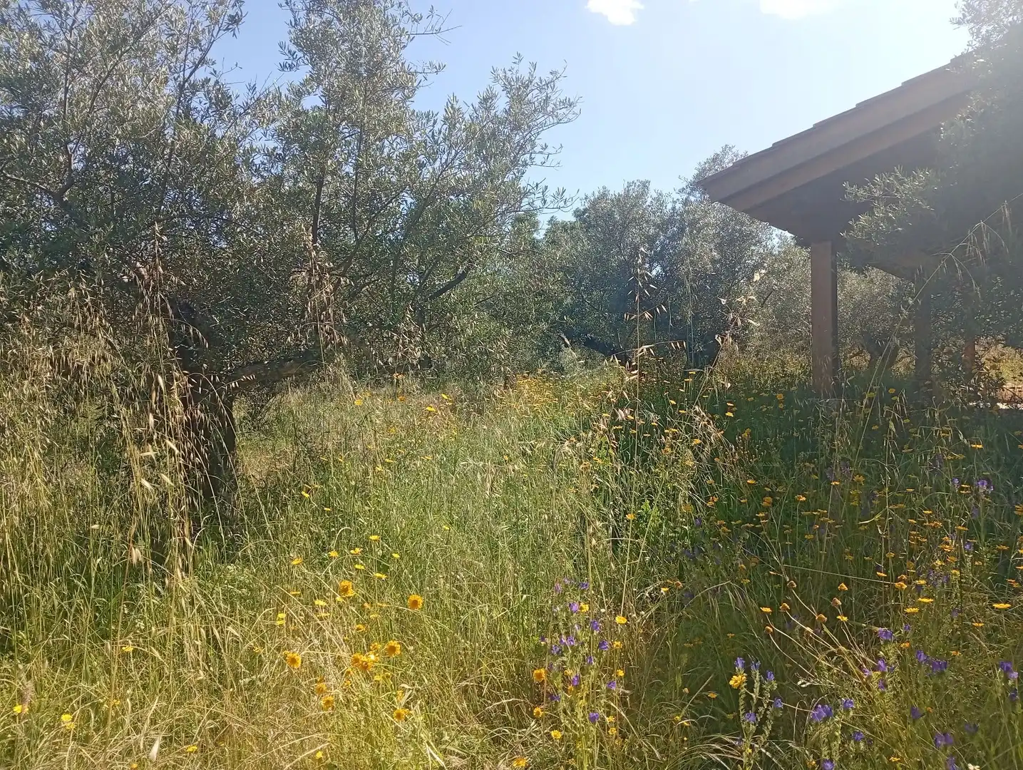 Maison à vendre à Villanueva de la Vera, imagen 34