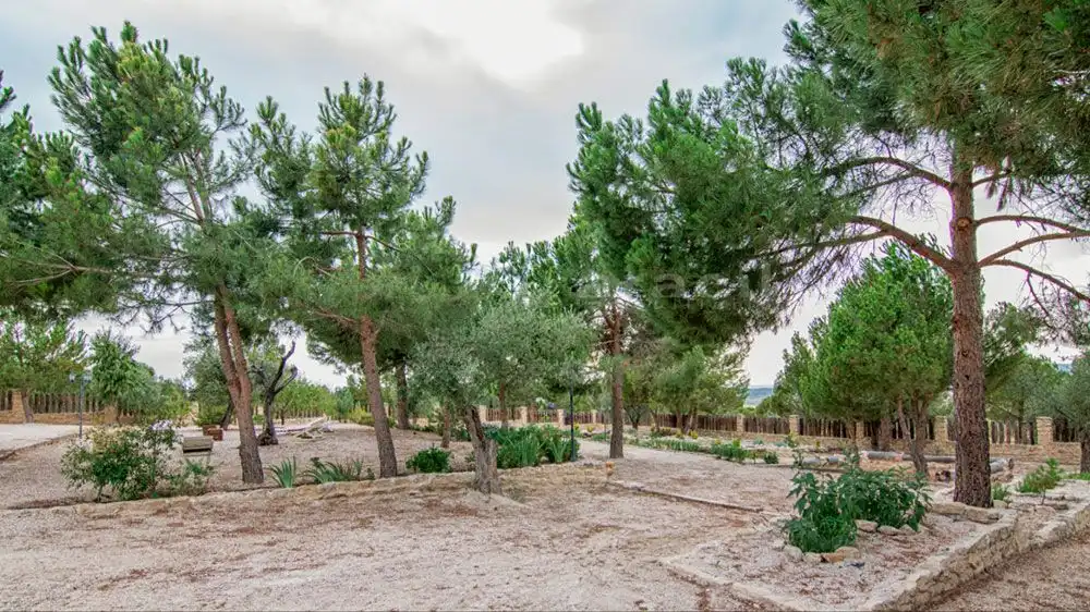 Casa rustica con piscina in vendita a Biar, imagen 18