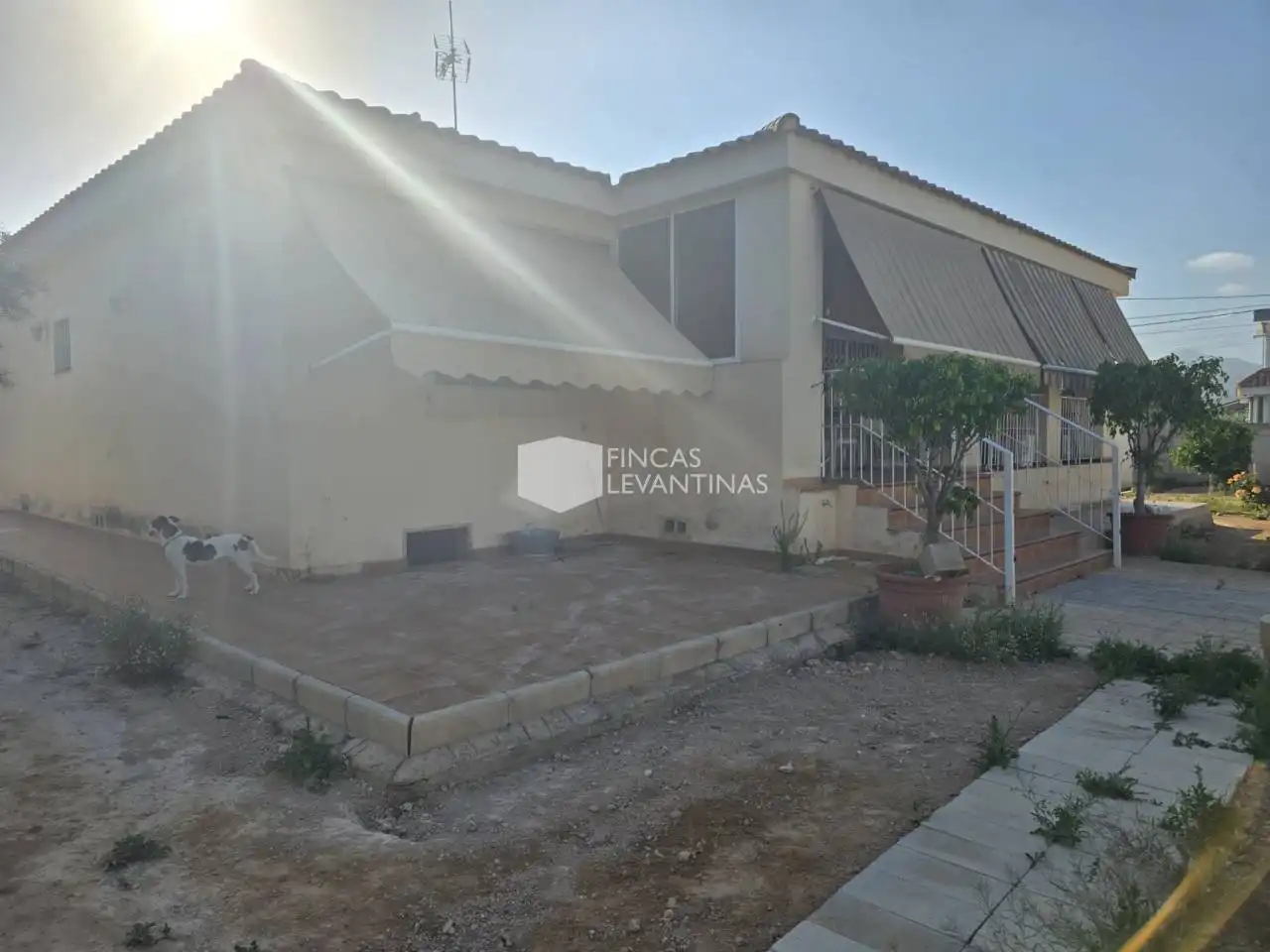 Vista exterior de Casa o xalet en venda en Alicante / Alacant amb Jardí privat, Terrassa i Piscina
