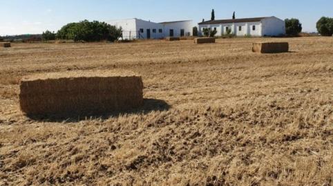 Foto 5 de Finca rústica en venda a Pelagatos - Pago del Humo, Cádiz