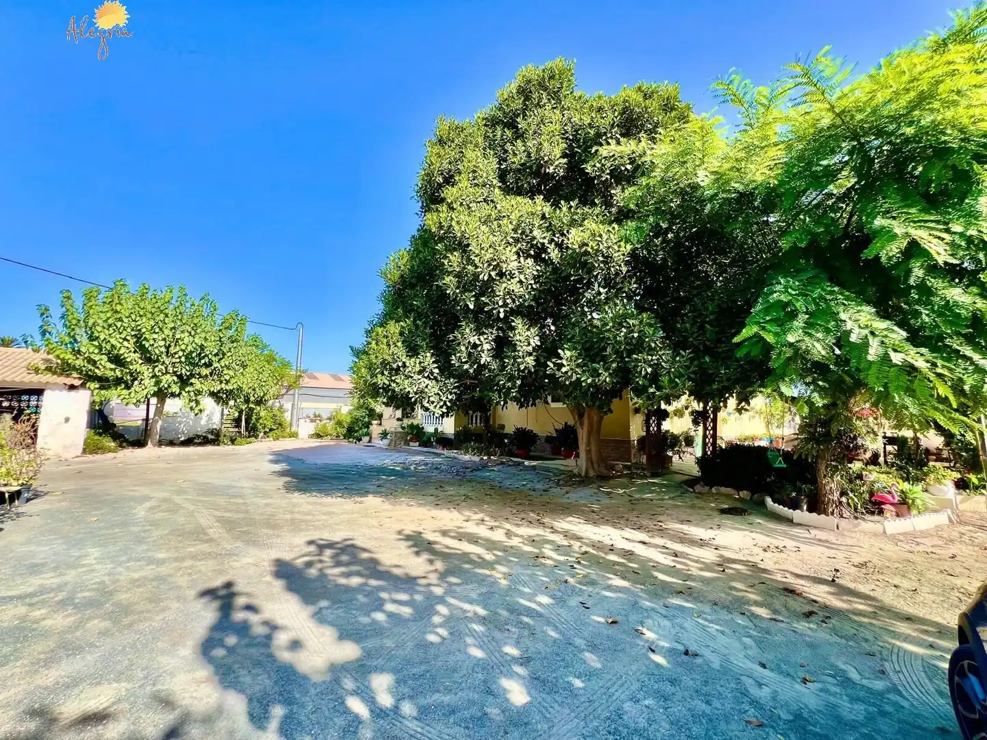 Vista exterior de Casa o xalet en venda en Daya Vieja amb Aire condicionat, Calefacció i Jardí privat