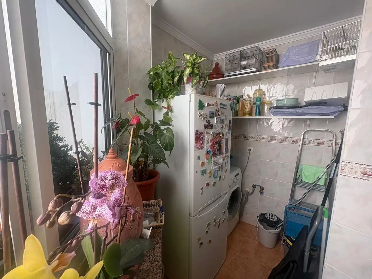 Kitchen of Flat for sale in Algeciras