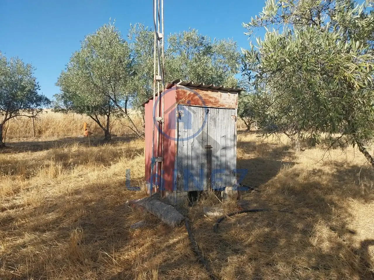 Nave industrial en venta en Peñarroya-Pueblonuevo