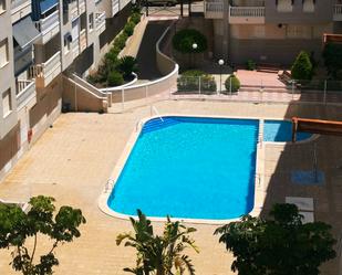Piscina de Pis de lloguer en Torrevieja amb Aire condicionat, Jardí privat i Terrassa