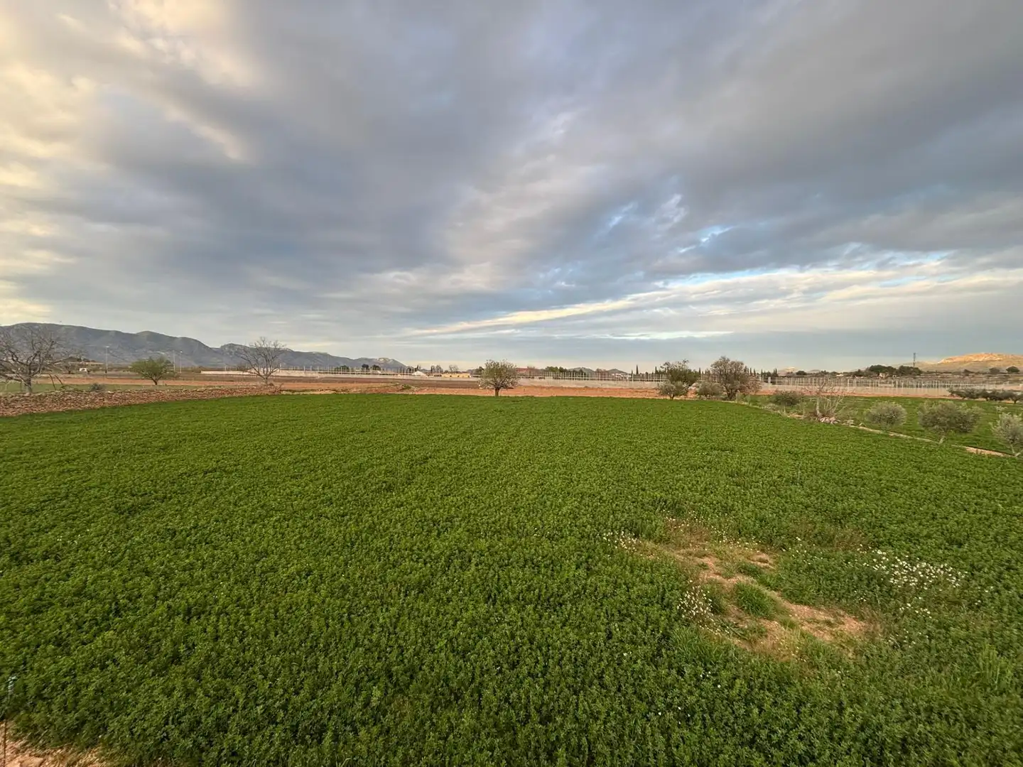 Terreno en venta en Caravaca de la Cruz