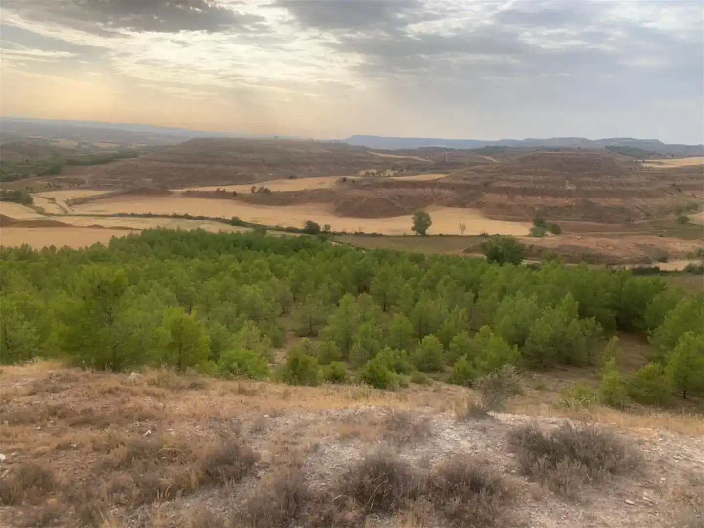 Land for sale in La Peraleja  