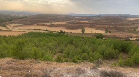 Photo 5 of Land for sale in Carretera Huete, La Peraleja , Cuenca