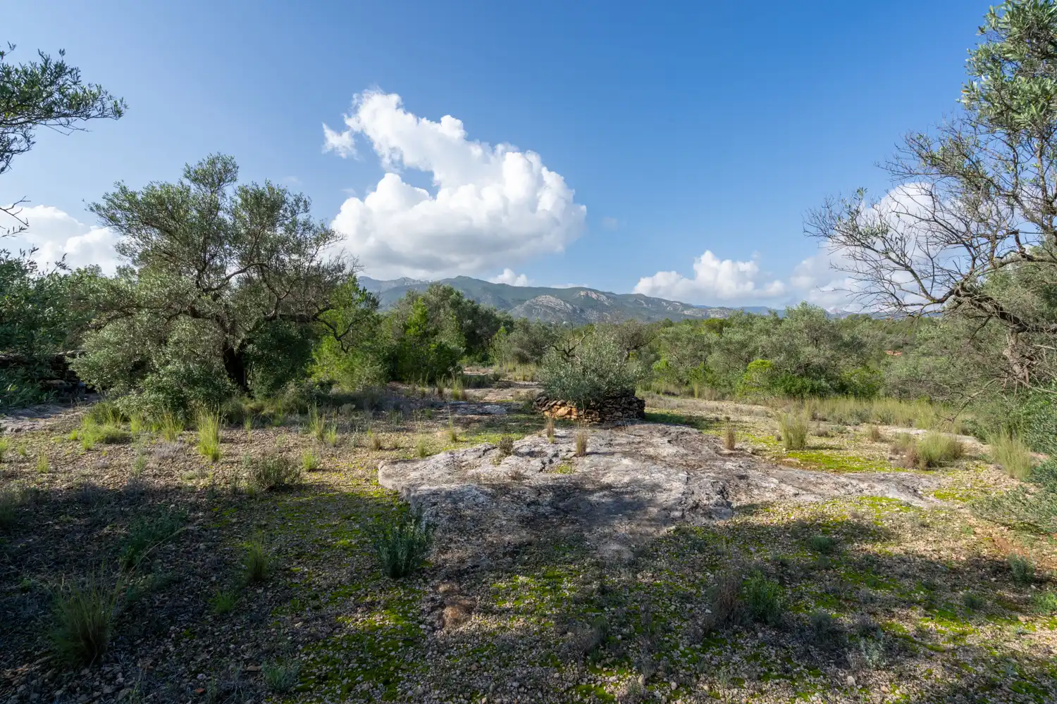 Terrain rustique à vendre à C-12 30, imagen 3