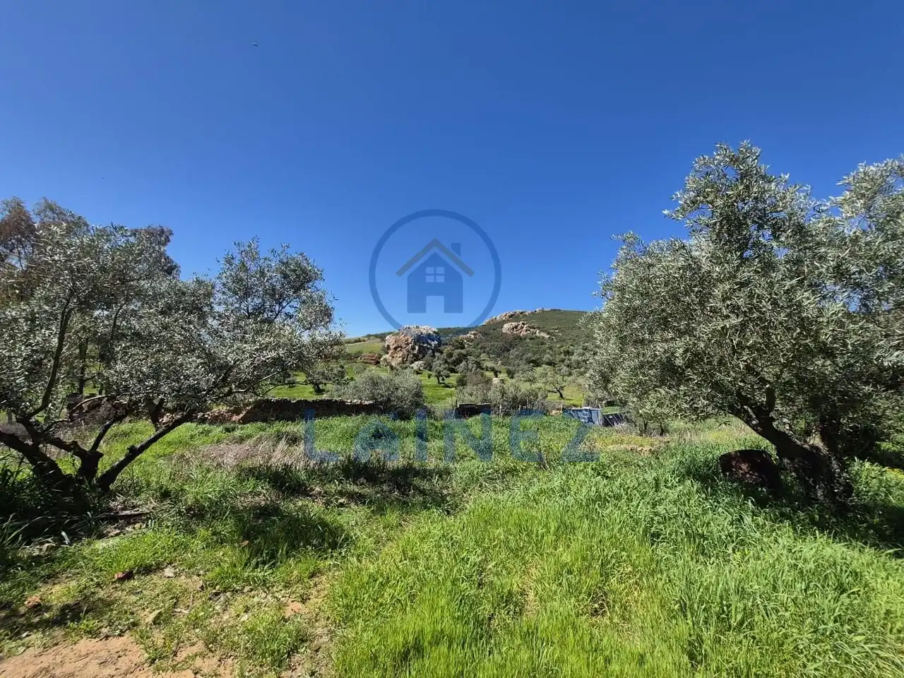 Grundstücke zum Verkauf in Peñarroya-Pueblonuevo
