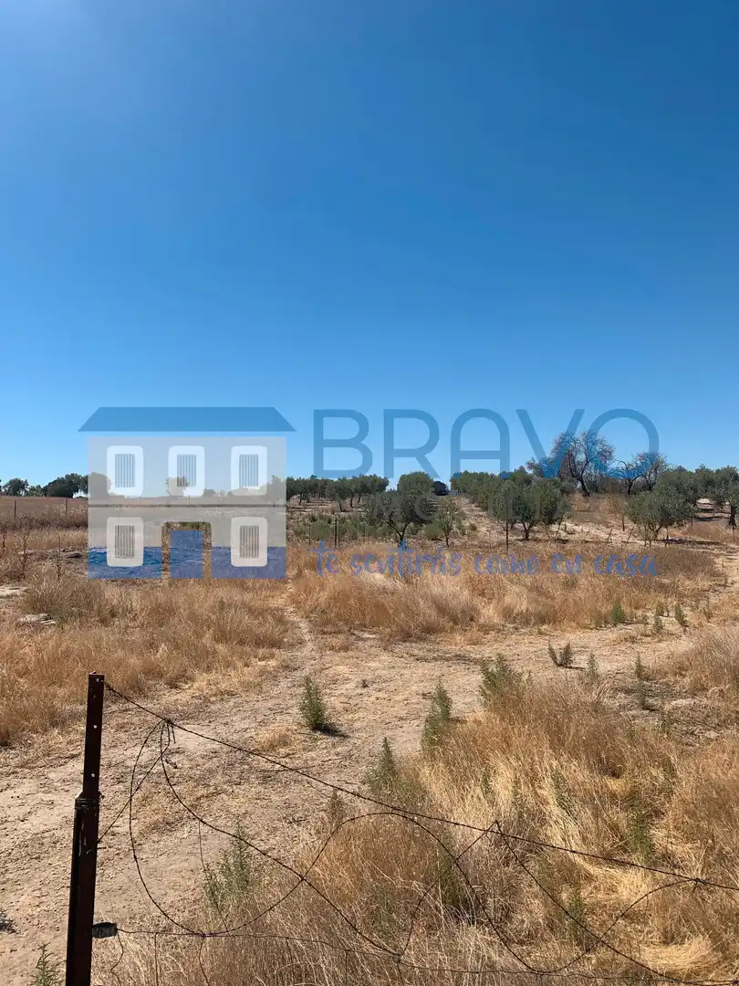 Chalet en venta en La Haba, imagen 27