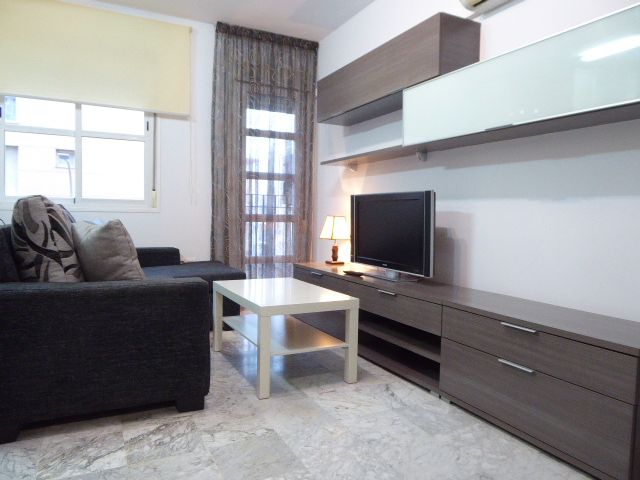 Living room of Apartment for sale in Málaga Capital  with Air Conditioner, Furnished and Washing machine