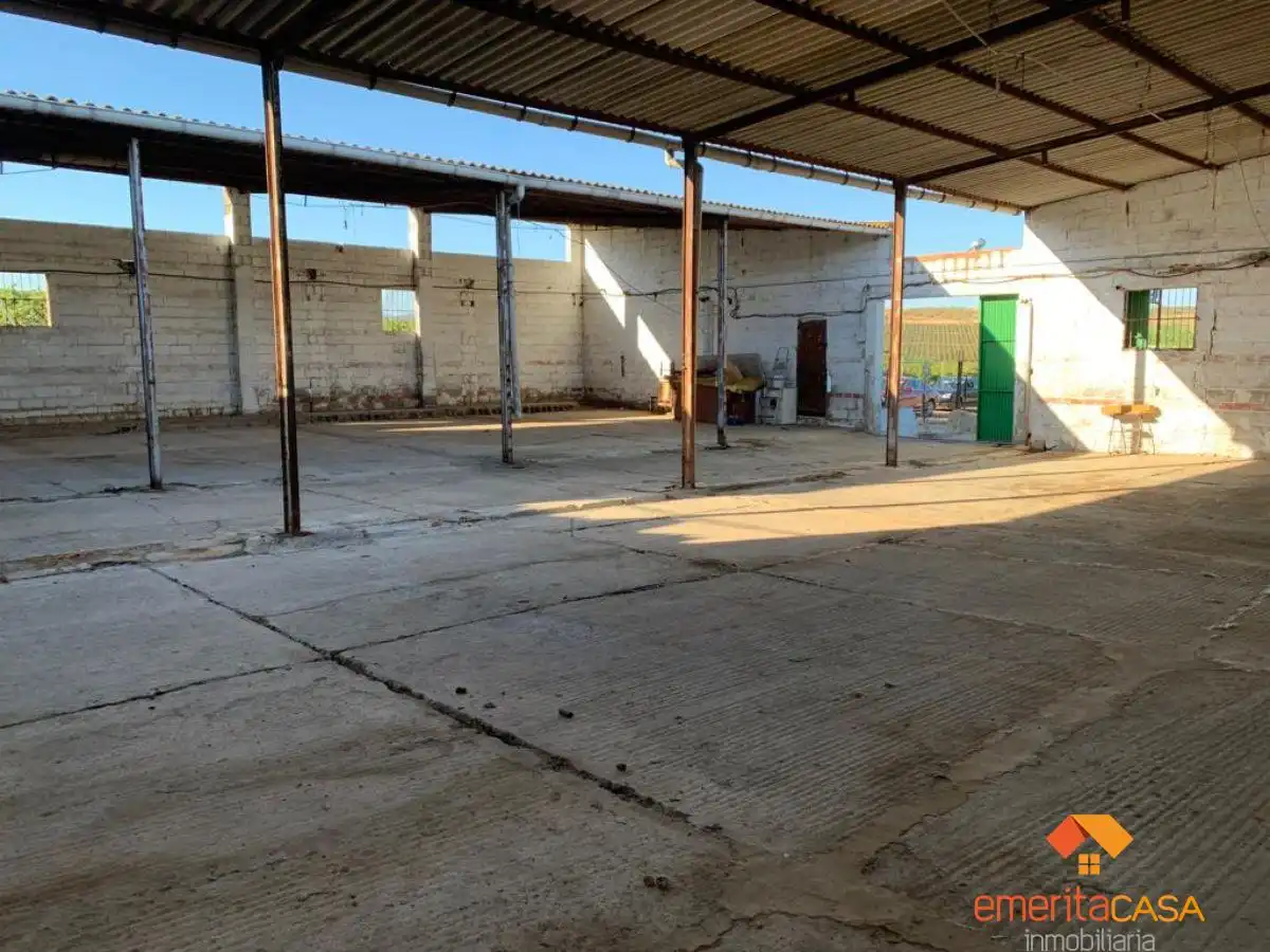 Nave industrial in affitto a Oeste