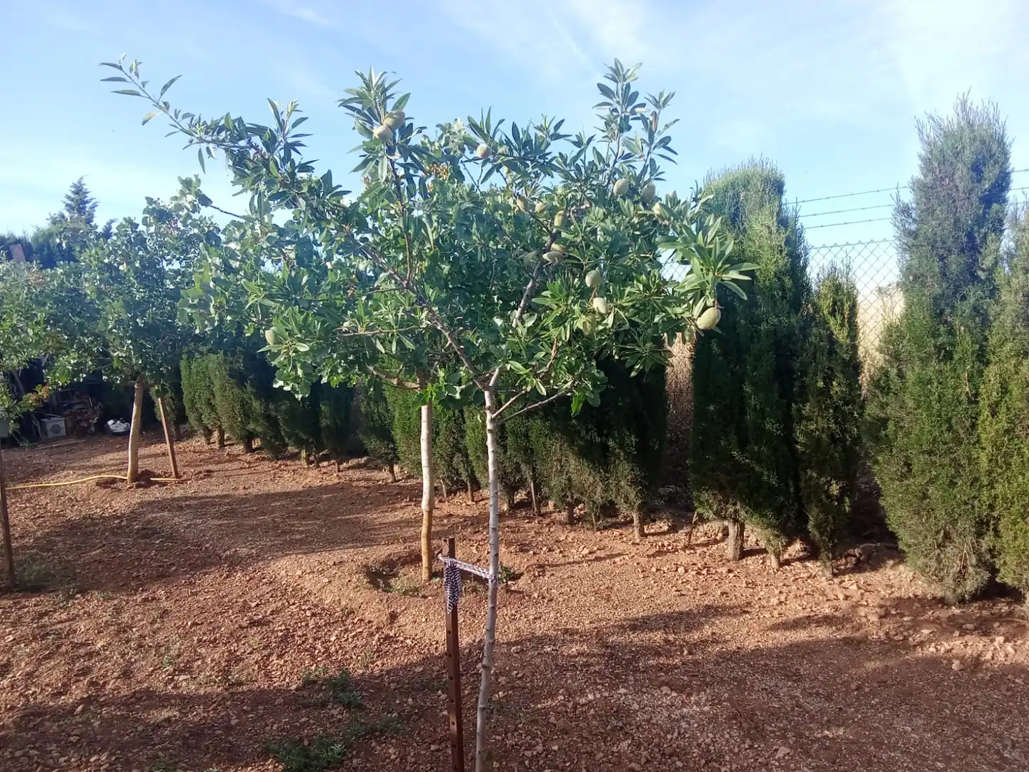 Terreno en venta en Ciudad Real