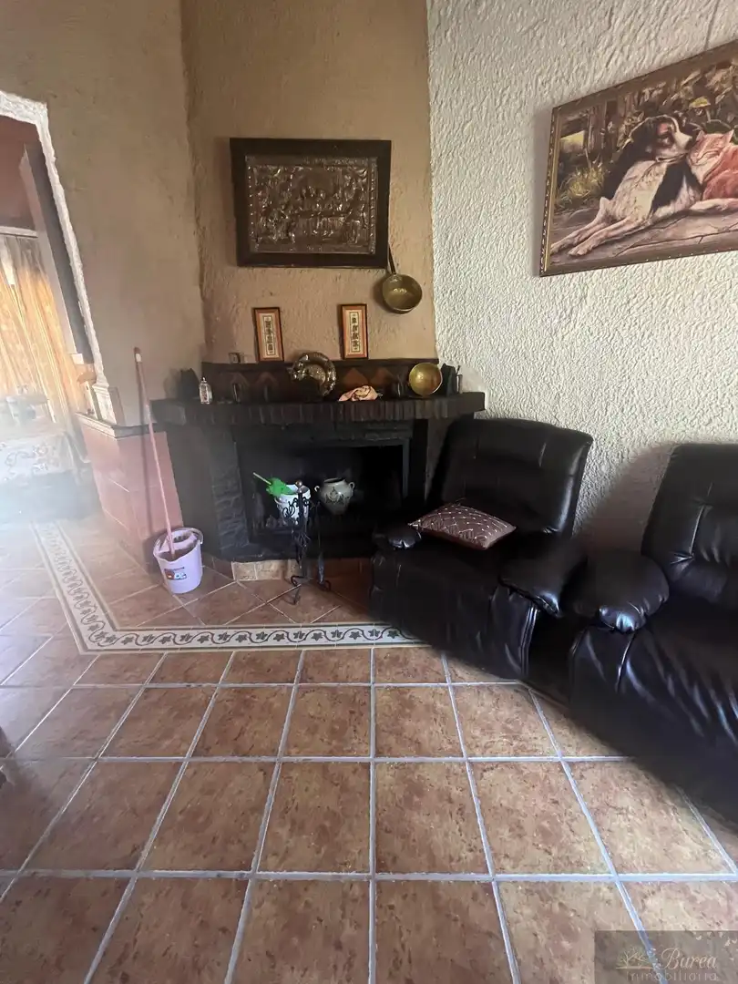 Sala d'estar de Casa o xalet en venda en Rute