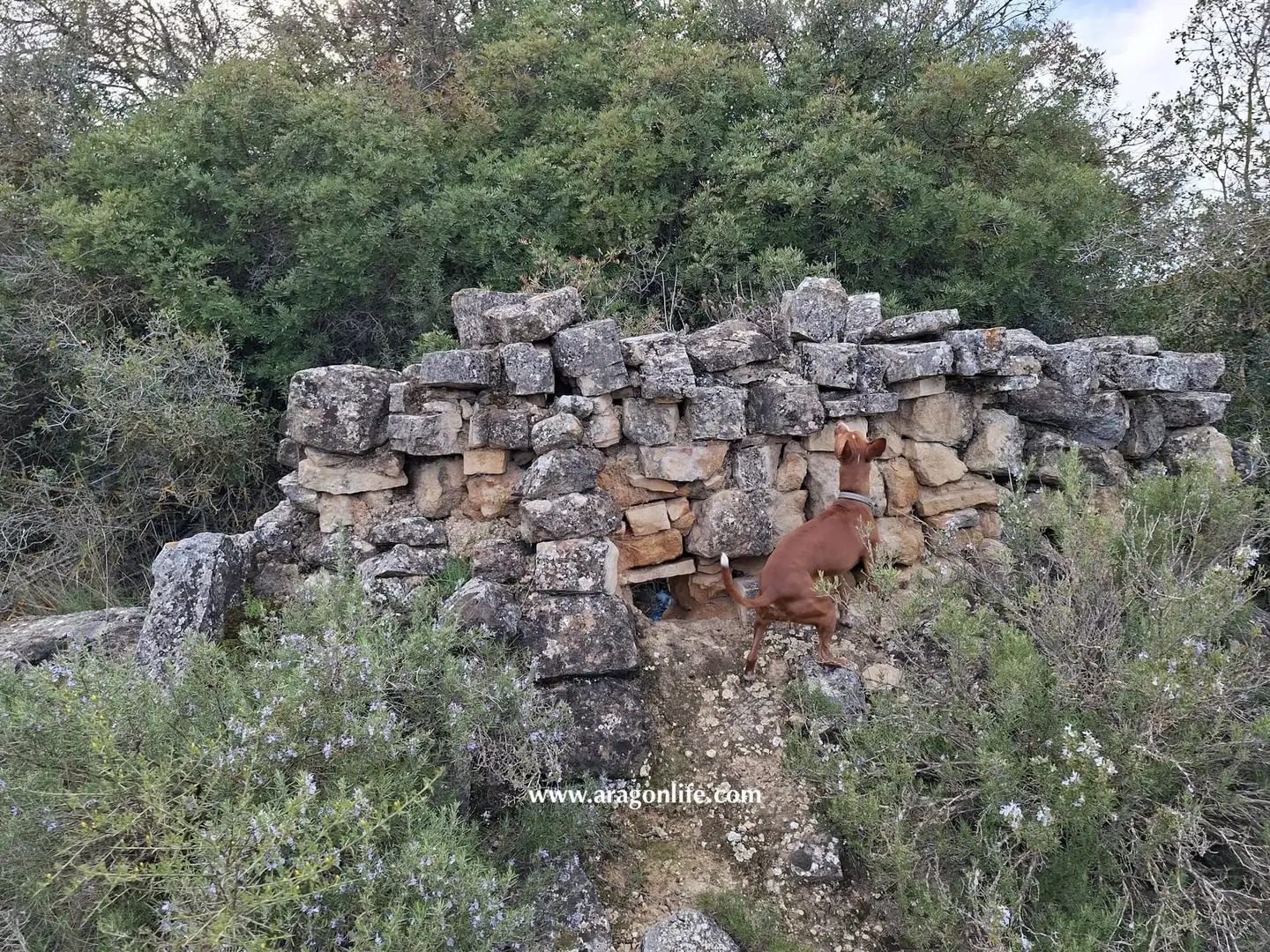 Terreni e lotti in vendita a Edificio Diseminados, imagen 6