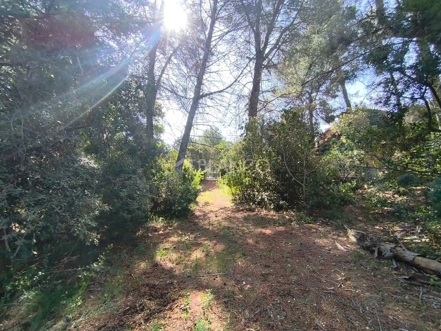Casa o chalet en venta en Piera con Jardín privado, Balcón y Alarma