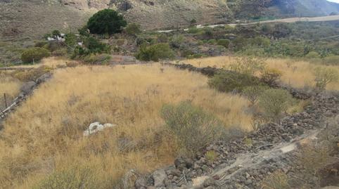 Photo 3 of Land for sale in  Polígono 2 Parcela 125 Cdo Monte. Santiago del Te, Tamaimo - Arguayo, Santa Cruz de Tenerife