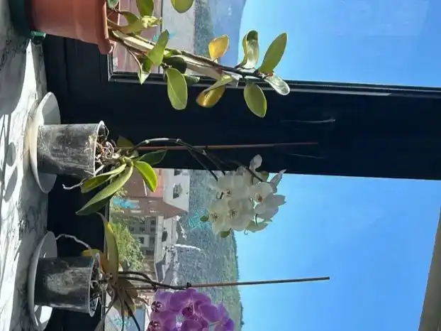 Terrassa de Pis en venda en Ponferrada amb Traster, Moblat i Balcó