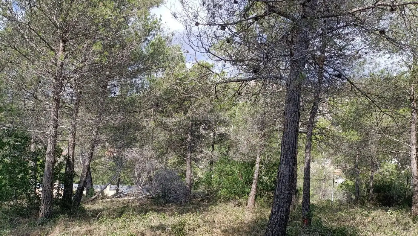 Terreno residencial en venta en Carrer Vallirana 24, imagen 5