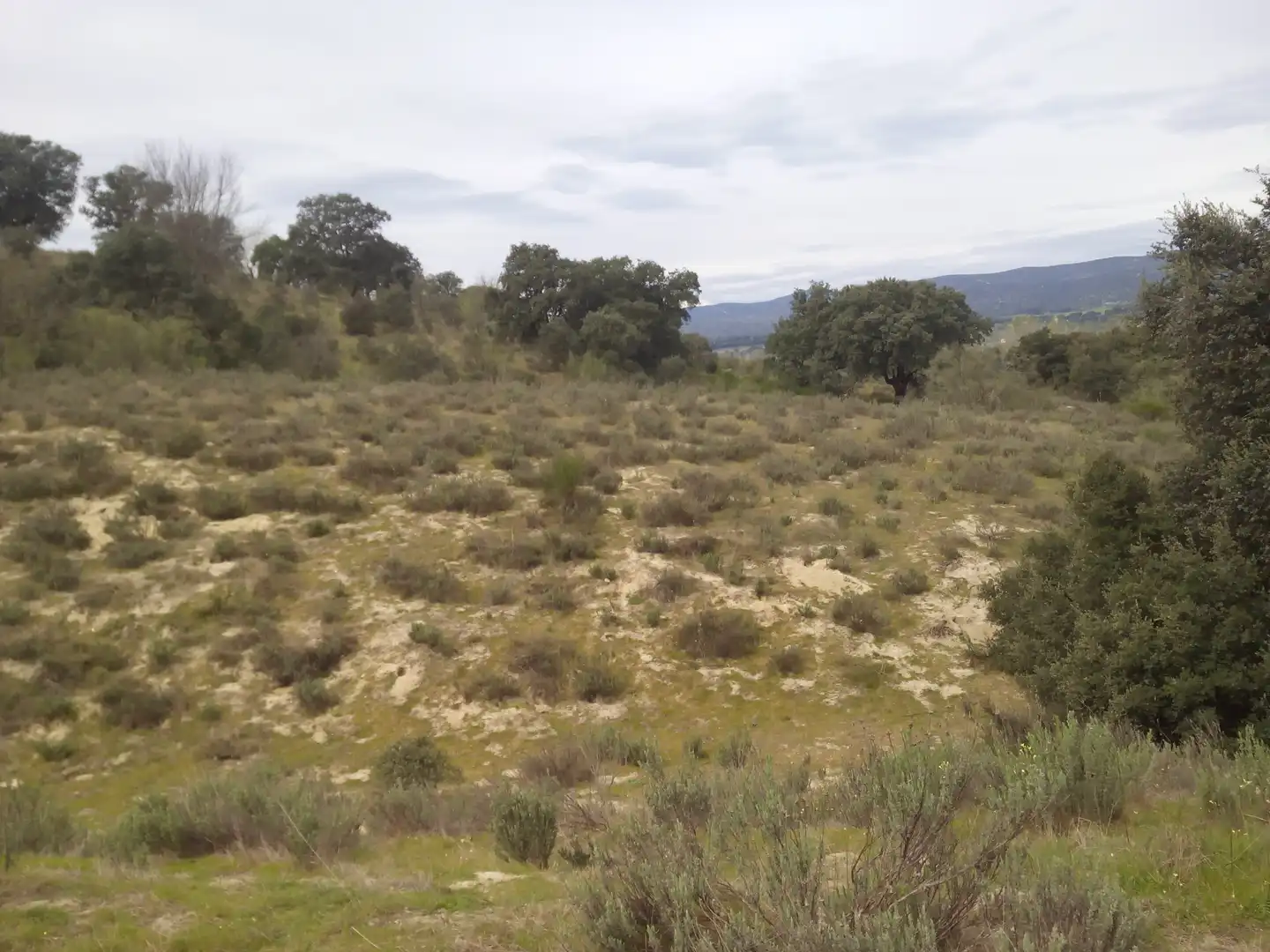 Terreno en venta en Aldea del Fresno