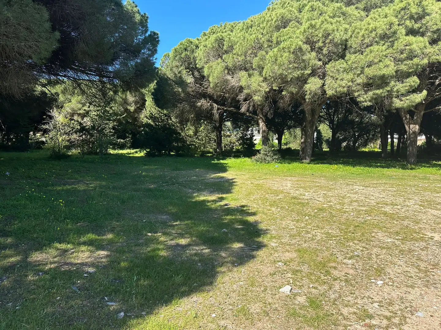Rustikales Grundstück zum Verkauf in Las Lagunas - Campano, imagen 9