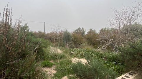 Foto 5 von Grundstücke zum Verkauf in La Algoda - Matola - Llano de San José, Elche / Elx