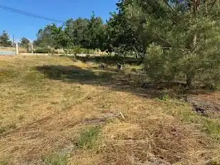 Terreny rústic en venda a O Porriño, imagen 2