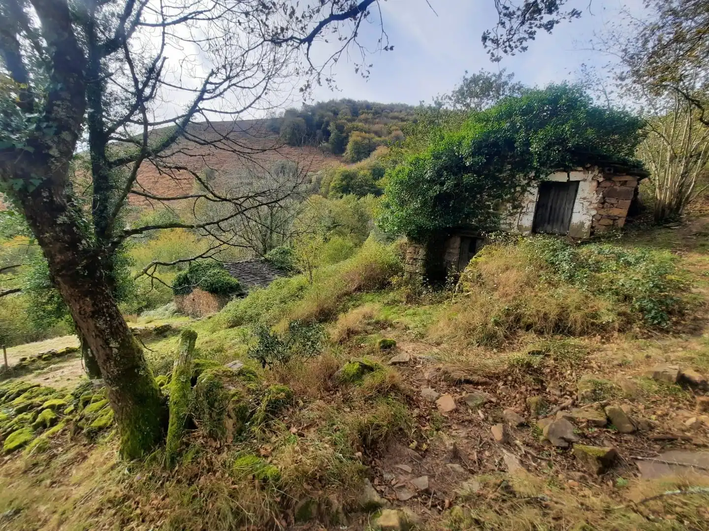 Casa rústica en venda a San Pedro del Romeral, imagen 33