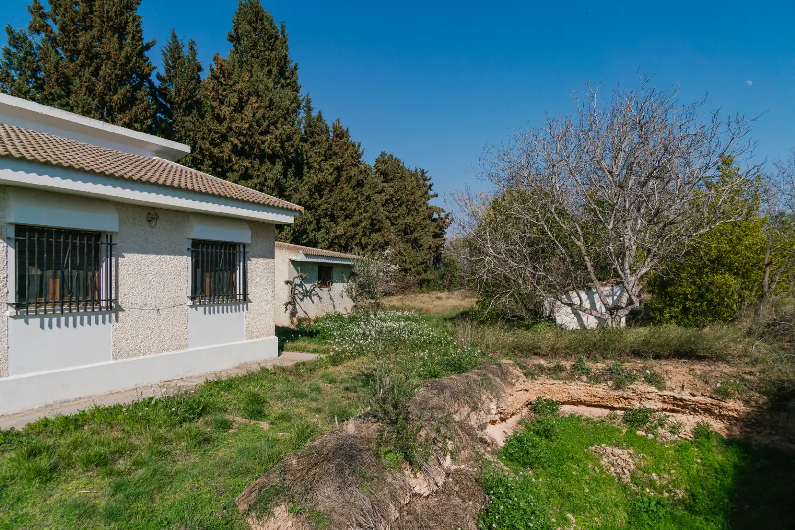 Finca rústica en venda en Pedrola amb Jardí privat, Terrassa i Moblat
