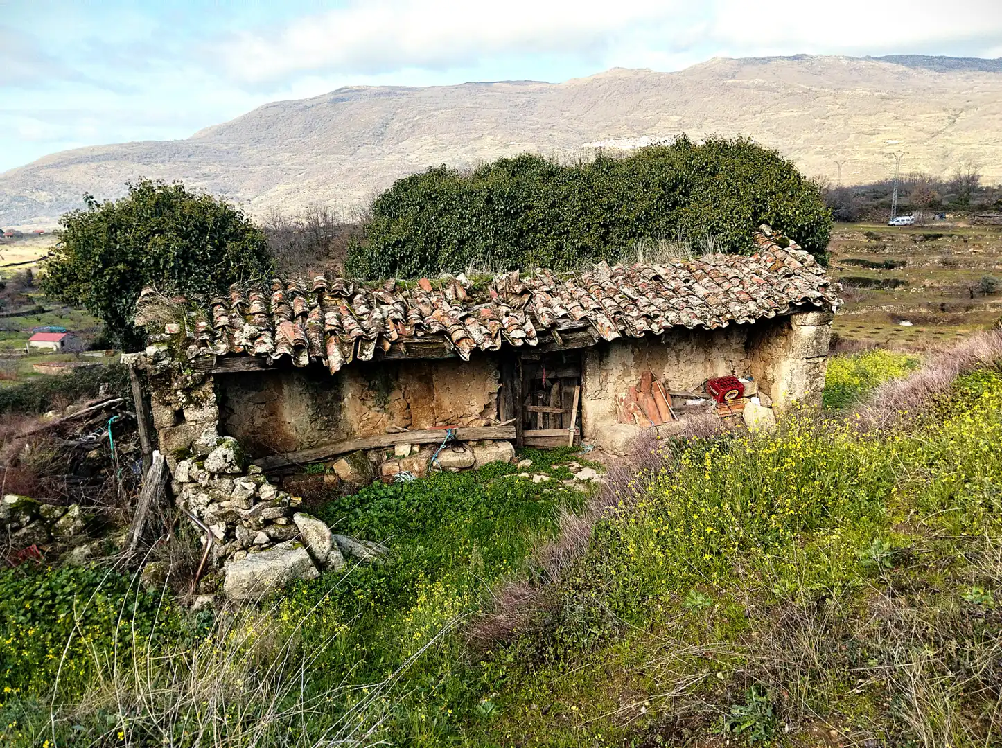 Exterior view of Land for sale in Casas del Castañar