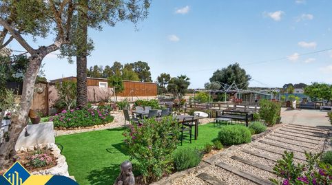 Photo 3 of Houses for sale in Los Arenales del Sol, Elche / Elx