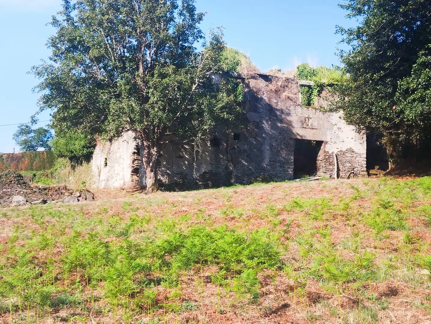 Vista exterior de Casa o chalet en venta en Ourol con Jardín privado