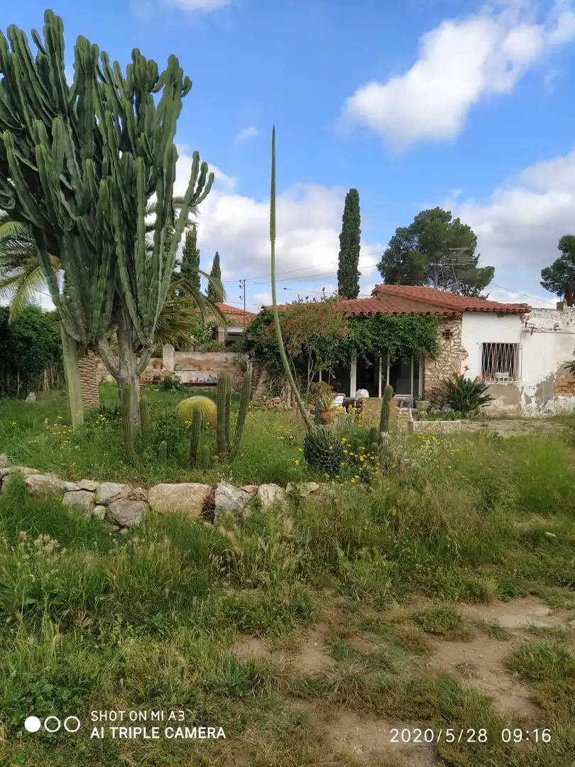 Jardí de Casa o xalet en venda en Mont-roig del Camp amb Jardí privat i Moblat