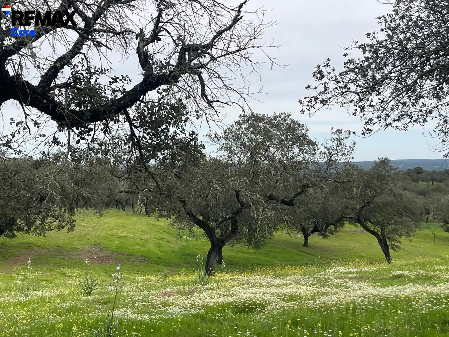 Terreni e lotti in vendita a Jerez de los Caballeros, imagen 17