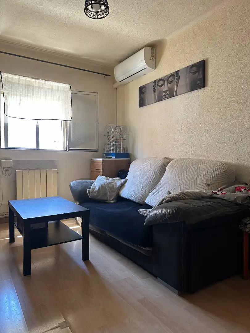 Sala d'estar de Pis en venda en Madrid amb Aire condicionat, Calefacció i Terrassa