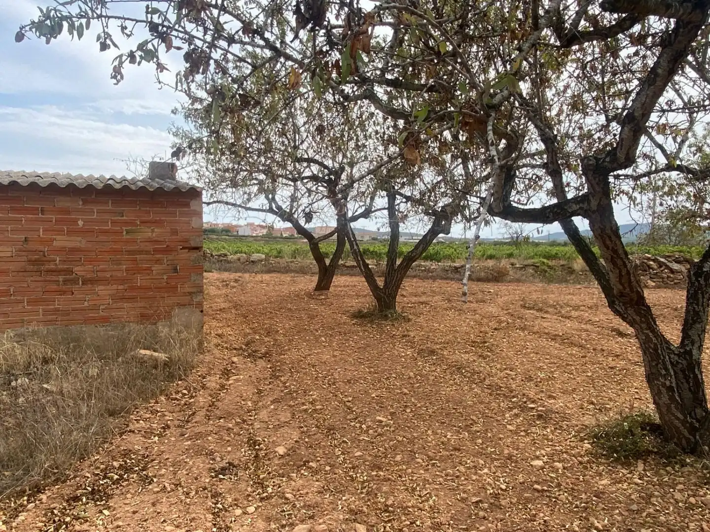 Casa rustica in vendita a Masllorenç, imagen 20