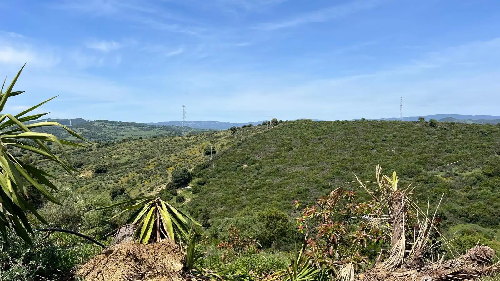 Finca rústica en venta en Casares