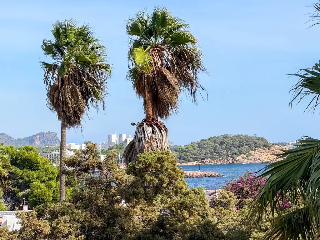 Apartamento en venta en Calle Ses Margalides