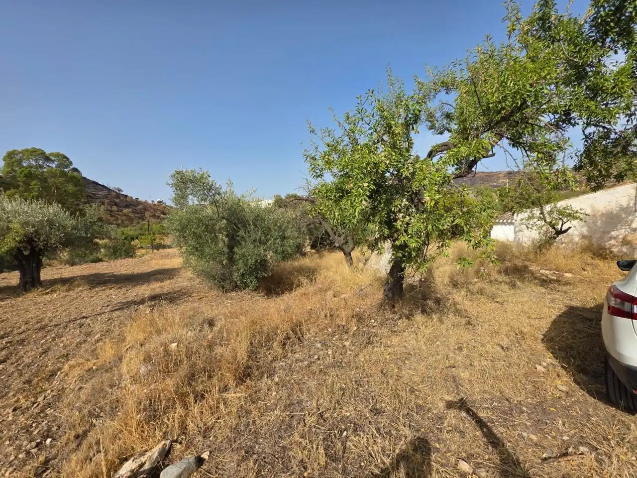 Finca rústica en venda en Bédar amb Jardí privat i Terrassa