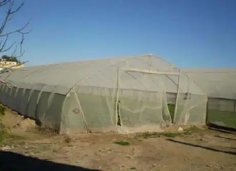 Jardín de Terreno en venta en Sueca