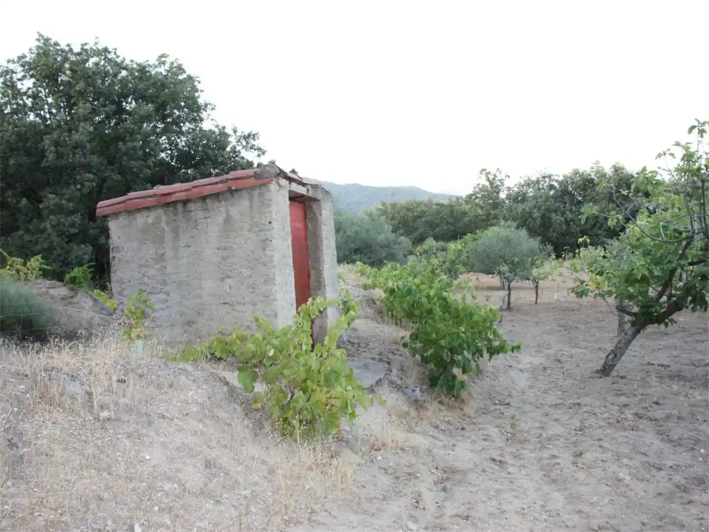 Finca rústica en venta en Losar de la Vera