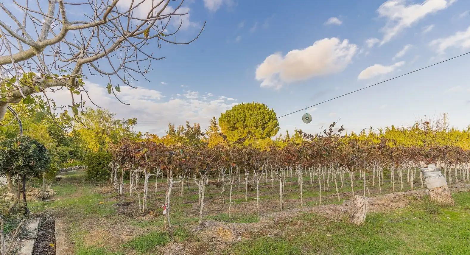Houses for sale in Villanueva Golf
