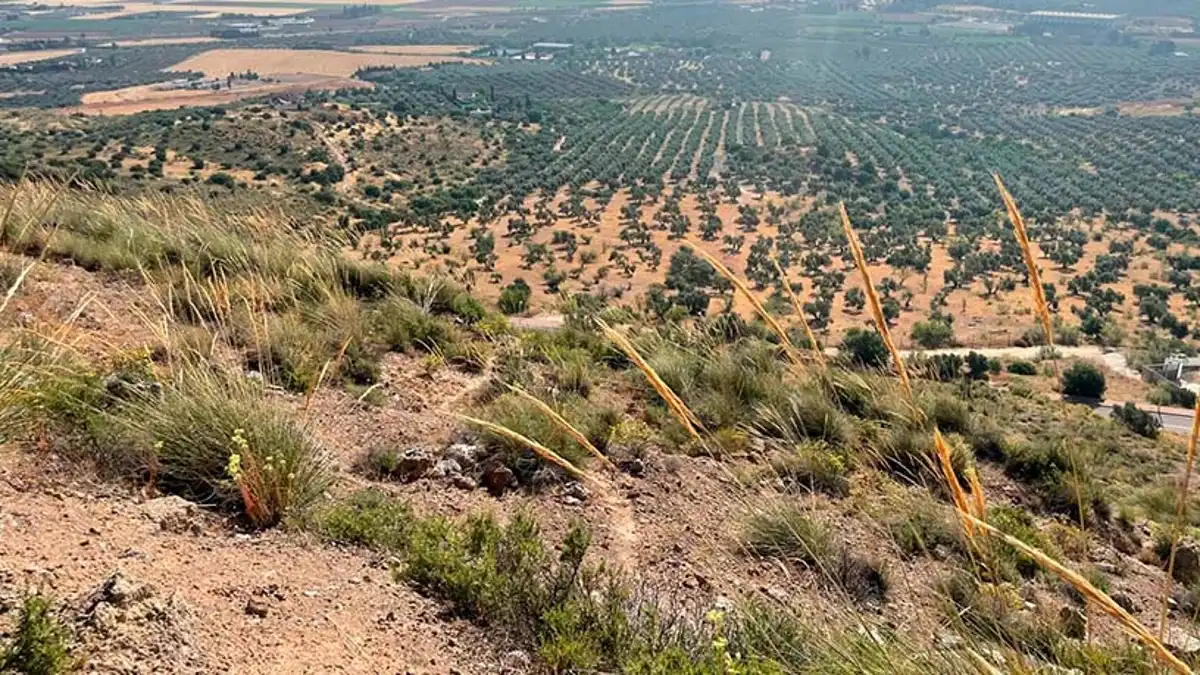 Terrenys i solars en venda a Arrabal Urb Antequera Golf, imagen 4