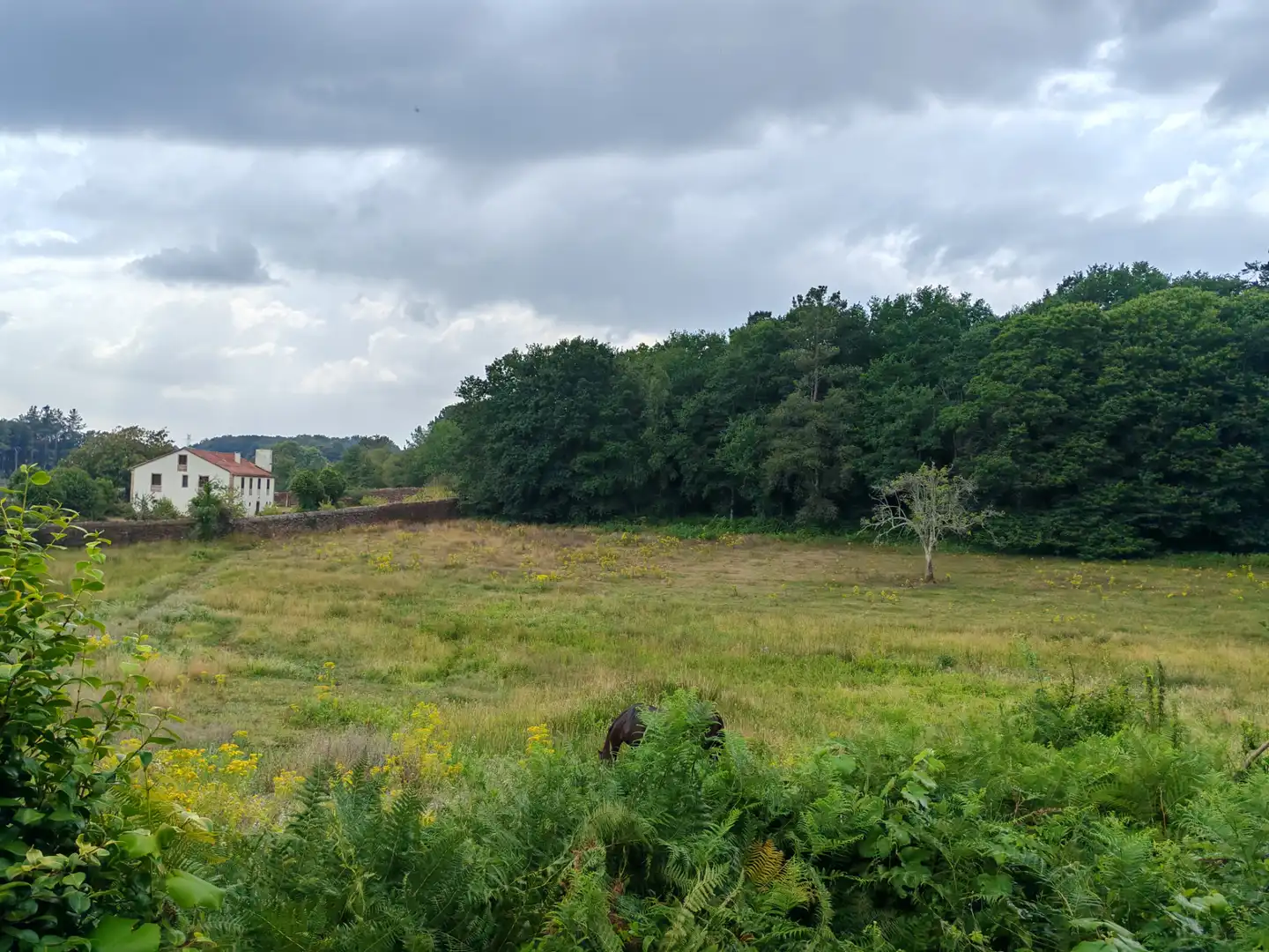 Casa o xalet en venda en O Pino  amb Jardí privat, Terrassa i Moblat
