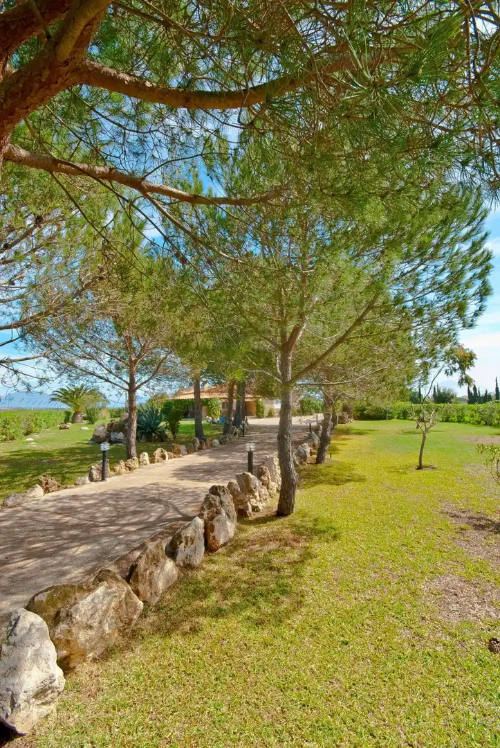 Casa con terraza en alquiler en Pollença - Carrer de Mena, imagen 14