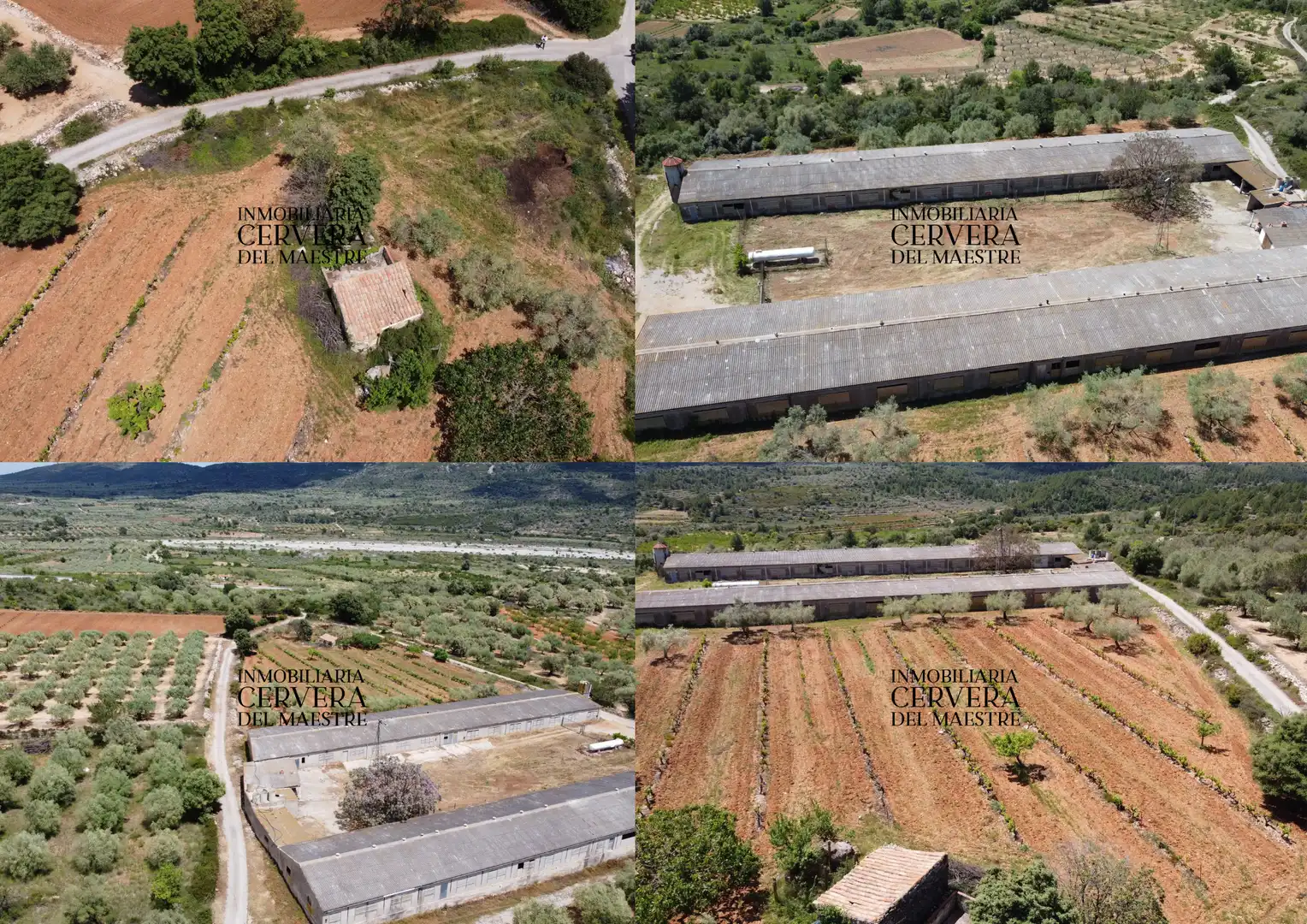 Terreno rustico in vendita a Cervera del Maestre, imagen 32