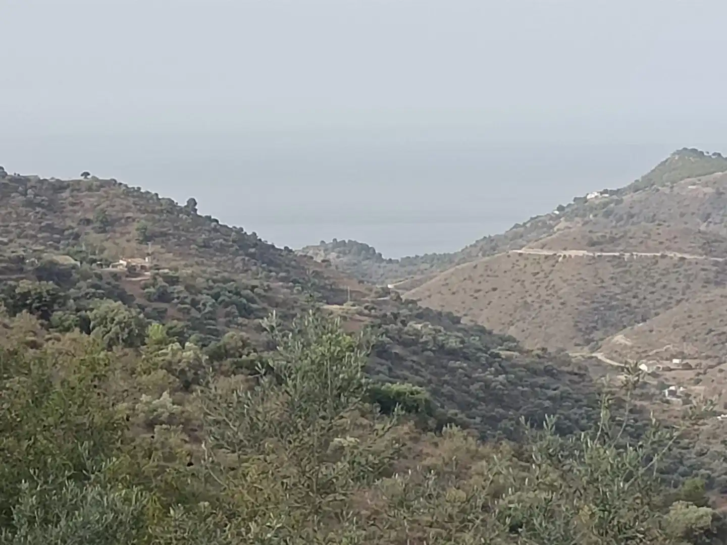 Terreni e lotti in vendita a Este, imagen 25