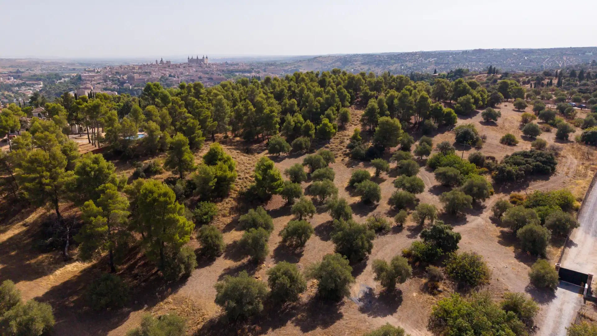 Terreny rústic en venda a Los Cigarrales - La Bastida, imagen 17