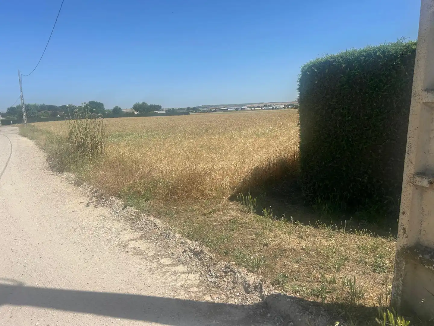 Land for sale in Fuente El Saz de Jarama