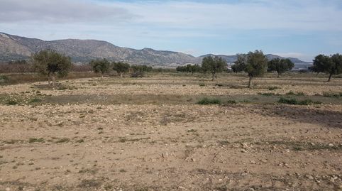 SE VENDE CUATRO PARCELAS EN SALINAS, DOS DE 50.000m Y DOS DE 20.000m, POR SEPARADO o EN CONJUNTO, imagen 2